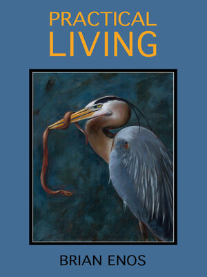 cover image of Practical Living